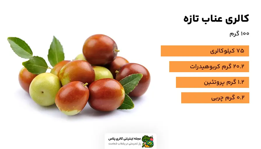 کالری عناب تازه، ارزش غذایی هر حبه عناب